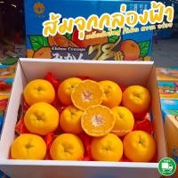 ราคา ส้มจุกกล่องฟ้า ส้มเดโกปอง ส้มจุกโบราณ หวาน เกล็ดส้มใหญ่ พร้อมส่ง (21279730978)