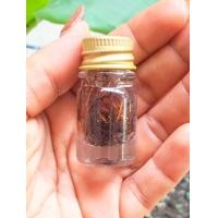 ราคา เครือสาวหลง รวมตัวผู้เมียในน้ำมันจันทร์ เครือเขาหลง เถาร์วัลหลง เส้นผมนางไม้ เครื่องรางของขลัง สายเมตตามหานิยม (19416664754)