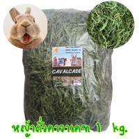 ราคา หญ้าถั่วคาวาเคด 1 kg โปรตีนพิเศษ สำหรับกระต่าย หนูแกสบี้ สัตว์ฟันแทะ (20849339122)
