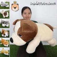 ราคา ตุ๊กตาน้องหมา สุนัข 100cm ตัวใหญ่ ผ้า นุ่มนิ่ม ของแท้ 100 ไซบีเรียน บลูเทอเรีย ชิบะ บีเกิ้ล (428574200)