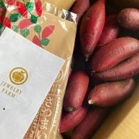 ราคา แท้จากญี่ปุ่น มันหวานญี่ปุ่น Beni haruka แท้จากดองกี้ คัดพิเศษ 1 กิโลกรัมหวาน หอม เนื้อเหลือง อร่อย (21124133744)