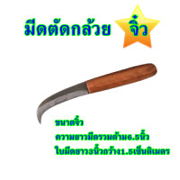 ราคา มีดตัดกล้วย มีดหั่นกล้วย มีดปาดกล้วย มีดปลอกกล้วย มีดตัดหวีกล้วย มีดตัดใบกล้วย มีดอรัญญิกแท้100 (9172786960)