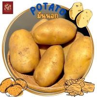 ราคา มันฝรั่งสด มันนอก น้ำหนัก 1Kg (21359264642)