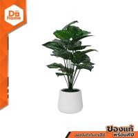 ราคา ต้นไม้เทียม เสน่ห์ขุนแผน 80 ซม พร้อมกระถาง สีเขียว EA (20691829047)
