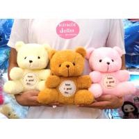 ราคา ตุ๊กตาหมีขนนุ่มคุณภาพดีขนาด 10 นิ้ว 8 นิ้ว (14762996045)