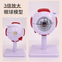 ราคา โมเดลลูกตาซูมเข้า6เท่าโมเดลกายวิภาคของมนุษย์สามารถถอดออกได้7ชิ้นเลนส์ไอริส (11547973601)