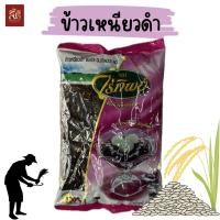 ราคา ข้าวเหนียวดำ ตราไร่ทิพย์ ขนาด 500 สดใหม่ หอม อร่อย คุณภาพดี (21359082629)