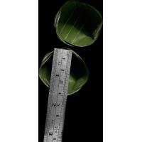 ราคา กระทงขนมเข่ง 4ซม 100ใบ (20065238982)