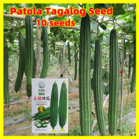 ราคา เมล็ดบวบเหลี่ยม ลูกผสม พันธุ์ขุนศึก Luffa Seeds for Planting งอกง่าย 10เมล็ด ซอง มล็ดพันธุ์บวบเหลี่ยม บวบเหลี่ยมลูกผสม วิกเกอร์เอ Long Ridged Patola Seeds Organic Vegetables Seeds Plants F1 บวบ เมล็ดพ