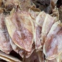 ราคา ปลาหมึกแห้ง หมึกผ่าใบโพ ไซส์ 4 นิ้ว 500 g (20519180459)