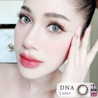 ราคา PONY ROZE คอนแทคเลนส์ ลายฮิต 14 8 (20594371107)
