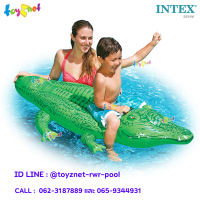 ราคา Intex แพจระเข้ สีเขียว 1 68x0 86 ม รุ่น 58546 (10215903)