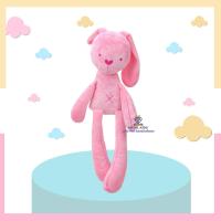 ราคา N0027 ตุ๊กตากระต่ายเน่า ตุ๊กตาเน่า หมีเน่า กระต่ายใส่ชุดบัลเล่ต์ ชุดถอดได้ เนื้อผ้านุ่มนิ่ม ของเล่น Ribbit bear toy (21203410674)