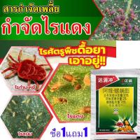 ราคา ฉีดพ่นครั้งเดียวตาย ยากำจัดไรแดง ไม่มีไรเดอร์และแมลงศัตรูพืช ใน 3 ปี ยาฆ่าไรแดง ฆ่าทั้งตัวไรและไข่ เพลี้ยไรแดง กำจัดเพลี้ยไฟไรแดง มันสะอาด ยาไรแดง รวดเร็ว ไม่มีปัญหาในอนาคต ยาฆ่าแมลง ยากำจัดเพลี้ย แก้