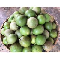 ราคา มะนาวสด มะนาว มะนาวไร้เมล็ด ผลมะนาว มะนาวคั่นน้ำ สดๆจากสวน 1กิโลกรัม ผิวลาย ผิวสวย คัดเกรด คละไซร์ (12956836249)