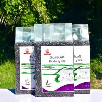 ราคา ข้าวไรซ์เบอร์รี่ คัดพิเศษ (20987800124)