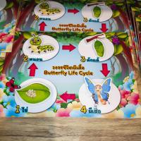 ราคา Nannygame วงจรชีวิต สัตว์ ผีเสื้อ ยุง สื่อการสอน เกมการศึกษาปฐมวัย อนุบาล (18609810118)
