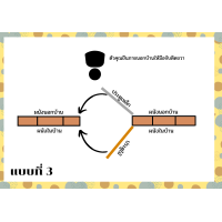ราคา ประตูมุ้งลวด สำเร็จรูป ขนาด80 200 ประตูมุ้งลวด มุ้งลวด ประตูเหล็กดัด (16326158818)