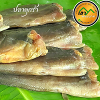 ราคา ปลาดุกร้า ปลาร้าใต้ ดุกร้า รสเค็มหวาน กำลังดี หอม อร่อย 4 6 8 ตัว (14200281417)