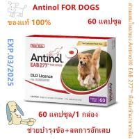 ราคา Antinol DOG 60 แคปซูล หมดอายุ08 2025 แพ็คเกจใหม่ อาหารเสริมบำรุงข้อ ข้ออักเสบ 1 กล่องบรรจุ 60 เม็ด (21192618517)