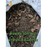 ราคา พร้อมส่ง ดินผสมใบก้ามปู ดินก้ามปู ดินปรุงสำเร็จ (19810019157)