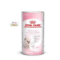 ราคา Royal Canin Baby Cat Milk นมผงแทนนมแม่ใช้สำหรับแมวแรกเกิด 300กรัม (20779549810)
