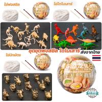 ราคา ไข่ไดโนเสาร์ ชุดขุดฟอสซิล ไดโนเสาร์ วัตถุโบราณ นักษัตร ของเล่นเด็ก โครงกระดูกไดโนเสาร์ ไข่เซอร์ไพรส์ ไข่สุ่ม (12797218524)