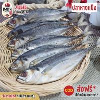 ราคา ปลาหางแข็ง ปลาหางแข็งแดดเดียว ปลาหางกิ่วหม้อ ปลาแข้งไก่ ปลายี่รง 1กิโลกรัม ปลาเค็ม ปลาขาไก่ เจ้หวานฟู้ดส์ (7404728399)