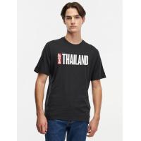 ราคา เสื้อยืด Levis Mens Levis Destination Tee (20799592289)