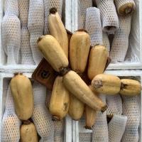 ราคา สดจากสวน รากบัวสด รากบัวสดคัดเกรด พร้อมส่งจากไทย ราคาถูก ราคาส่ง (20966177468)