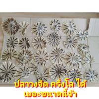 ราคา ปลาวง จืด ปลากระเบนวง ปลาลิ้นหมา ปลาแก้ว จืด ปลาทะเลแห้ง ใหม่ สด สะอาด ไม่ใส่สารเคมี (20589709657)