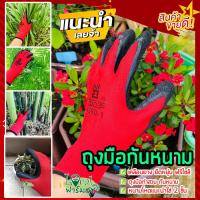 ราคา ถุงมือกันหนาม ถุงมือทำสวน ถุงมือกันหนามชะอม ถุงมือปลูกกระบองเพชร ถุงมือกันหนามแคคตัส ถุงมือกันลื่น (10116888392)