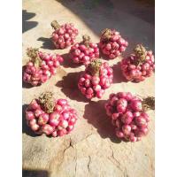 ราคา หอมแดงศรีสะเกษ มัดจุก 1 กิโล (21331448097)