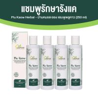 ราคา Plu Kaow Herbal บ้านหมอละออง แชมพูสมุนไพร พลูคาว แชมพูลดรังแค บำรุงหนังศีรษะ สำหรับดูแลผู้มีอาการคันบนหนังศีรษะ ขนาด ขนาด 150 ml จำนวน 4 ขวด (20541711819)