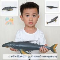 ราคา COD โมเดลสัตว์ทะเลตัวใหญ่ พร้อมส่ง ไซส์จัมโบ้ ไม่บาดมือ ขนาดใหญ่ โมเดลสัตว์ทะเล โมเดลปลาฉลาม โมเดลวาฬ Marine Animal (19189992621)
