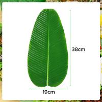 ราคา ใบตองเทียมใหญ่ ใบตองรองถาด สามารถนํามาใช้ซ้ำได้ ใบตองรองอาหาร ใบตองปลอม ใบตองเสมือนจริง ใบตองพลาสติก ใบตองใส่อาหาร แผ่นรองจานถ่ายภาพ สีสดใสไม่มีกลิ่น ใบบัว ใบตองเทียม ใบตอง ใบบัวเทียม green leaf decor