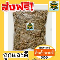 ราคา เมล็ดทานตะวัน อบวอลนัท 500 กรัม พร้อมทาน เต็มเมล็ดใหญ่ เกรด AAA ผลิตใหม่ตลอด ไม่เหม็นหืน การันตรีความอร่อยอาหารเจ เจ (21350615034)
