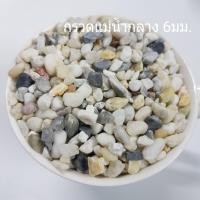 ราคา หินโรยหน้ากระถาง 1 กิโลกรัม หิน หินโรยแคคตัส หินใส่ตู้ปลา หินตกแต่งตู้ปลา หินโรยกระถาง ถูกมาก (11737032052)