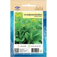 ราคา เมล็ดพันธุ์ กวางตุ้งดอก ต้นเขียว เจียไต๋ (20669875885)