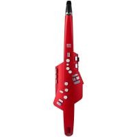 ราคา Roland AE 10 Aerophone Pro Digital Wind Instrument (20509112752)