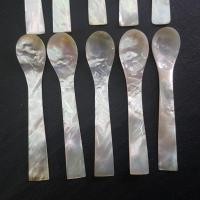 ราคา House of Shell 1 ชิ้น ช้อนเปลือกหอยมุกแท้ 1 pcs real mother of pearl spoons (3831044533)