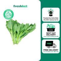 ราคา คะน้าขนาดกลาง คัดตัดแต่ง Lazada Exclusive Item 250 กรัม แพ็ค (20606200064)