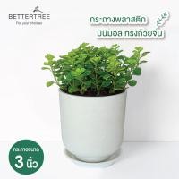 ราคา กระถางพลาสติกทรงถ้วยจีน 3 นิ้ว พร้อมจานรอง กระถางต้นไม้ กระถางพลาสติก (20405540267)