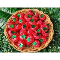 ราคา เหรียญโปรยทาน ตัวเปล่า10ชิ้น โปรยทานงานบวช โปรยทานสำเร็จรูป (19070908726)