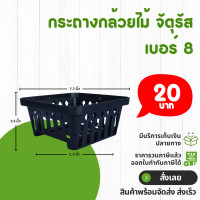 ราคา กระถาง จานรอง กระถางต้นไม้ กระถางกล้วยไม้ จัตุรัส กระถางกล้วยไม้ เบอร์ 3 3 5 4 6 8 นิ้ว สีดำ (20845170247)