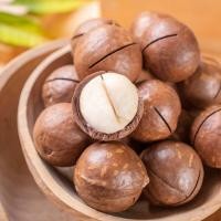 ราคา เเมคคาเดเมียอบเนย Macadamia หอมเนย เต็มเม็ดใหญ่ 500g 20 (8795910345)