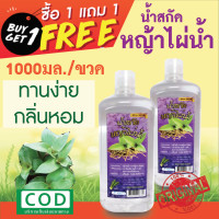 ราคา หญ้าไผ่น้ำสกัด น้ำหญ้าไผ่น้ำ ต้นหญ้าไผ่น้ำ มีสรรพคุณเรื่องโรคไต สมุนไพรไทย ซื้อ 1 แถม 1 ขวด 1000 มล จำนวน 2 ขวด (9458456761)