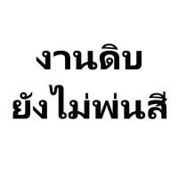 ราคา 14ชิ้น กาบข้างประตู Triton 2006 2007 2008 2009 2010 2011 2012 2013 2014 โฉม 4 ประตู (15732760317)