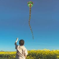 ราคา ว่าวรูปร่างงู7เมตรลูกบอลไฟห้อยประดับตลกกลางแจ้งของเล่นเด็กผ้าทำสวน (19897933290)