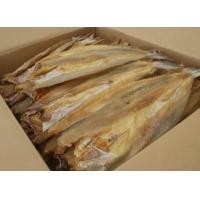 ราคา ปลาช่อนทะเลตากแห้ง ปลาหัวขาด (20569796117)